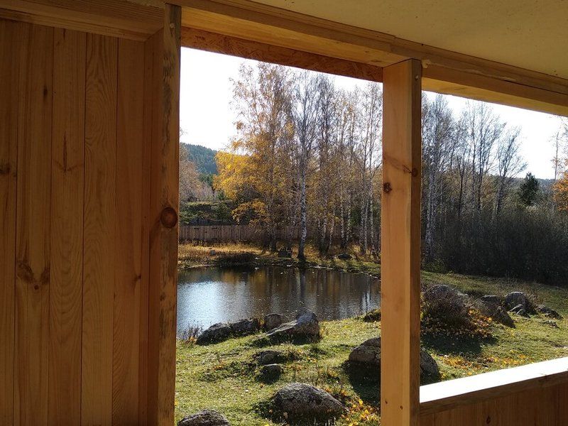 Медная сова, Алтайский край: фото 5