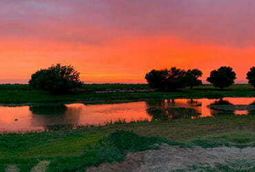Сазанья бухта, Астраханская область: фото 4