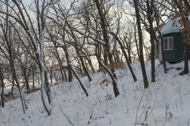Домик лесника, Туристическая база отдыха Шамбала Пинежье, Бурейский район