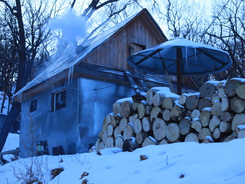 Шамбала Пинежье, Амурская область: фото 3