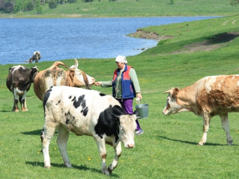 Другая жизнь, Орловская область: фото 3