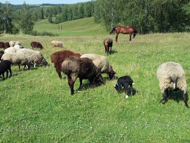 Другая жизнь, Орловская область: фото 4