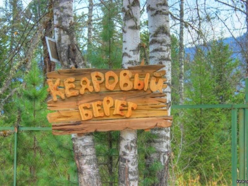 Кедровый берег, Горный Алтай (Республика Алтай): фото 2