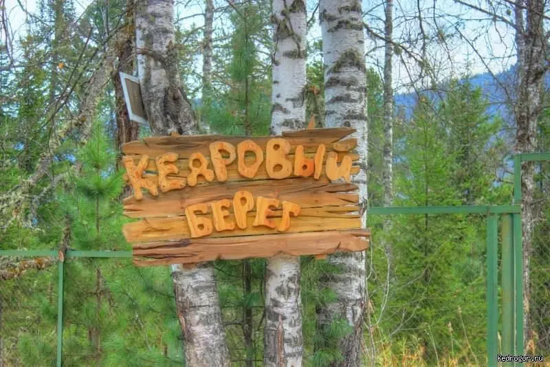 Кедровый берег, Горный Алтай (Республика Алтай): фото 2