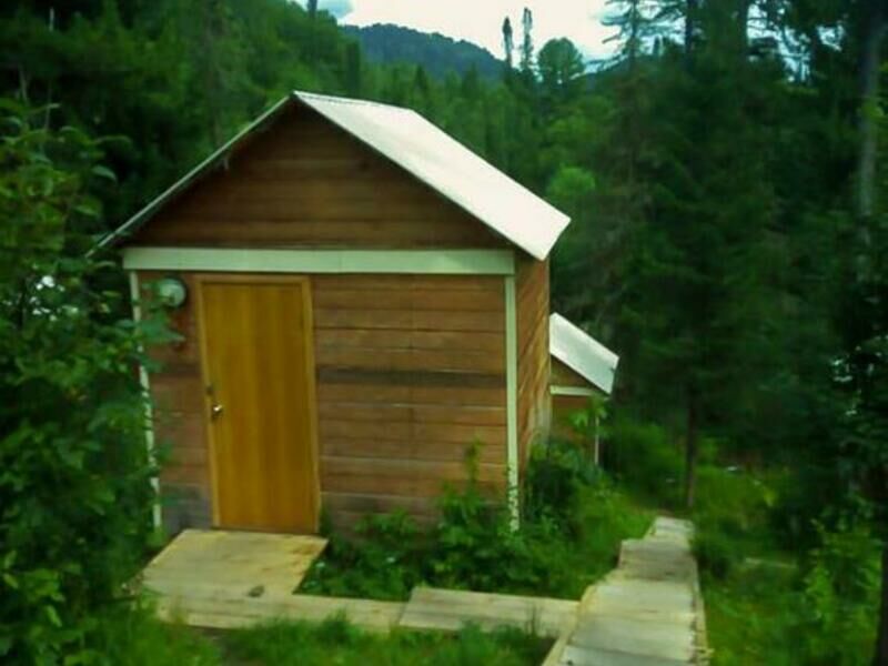 Кедровый берег, Горный Алтай (Республика Алтай): фото 5