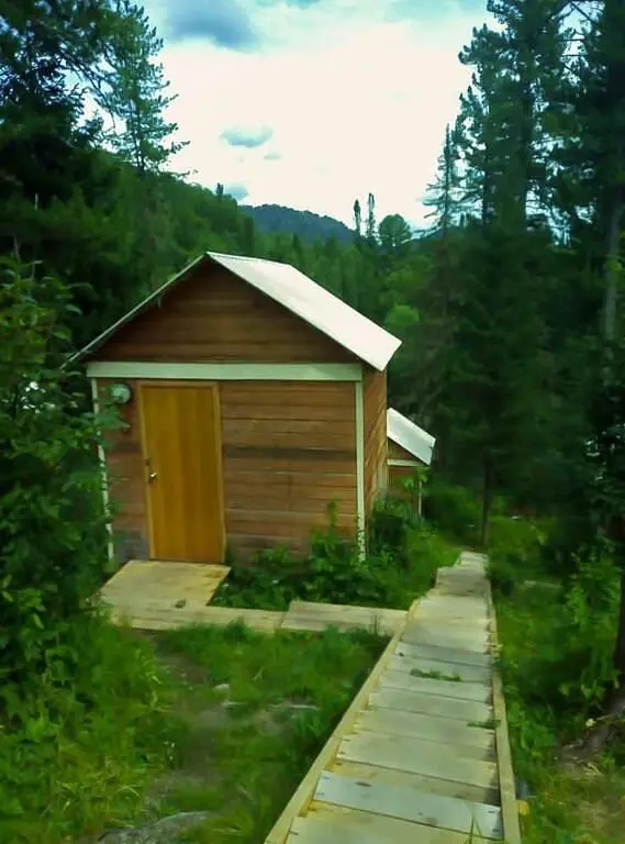 Кедровый берег, Горный Алтай (Республика Алтай): фото 5