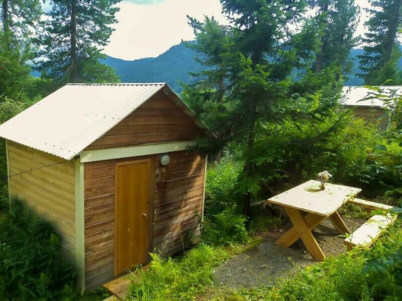 Кедровый берег, Горный Алтай (Республика Алтай): фото 3