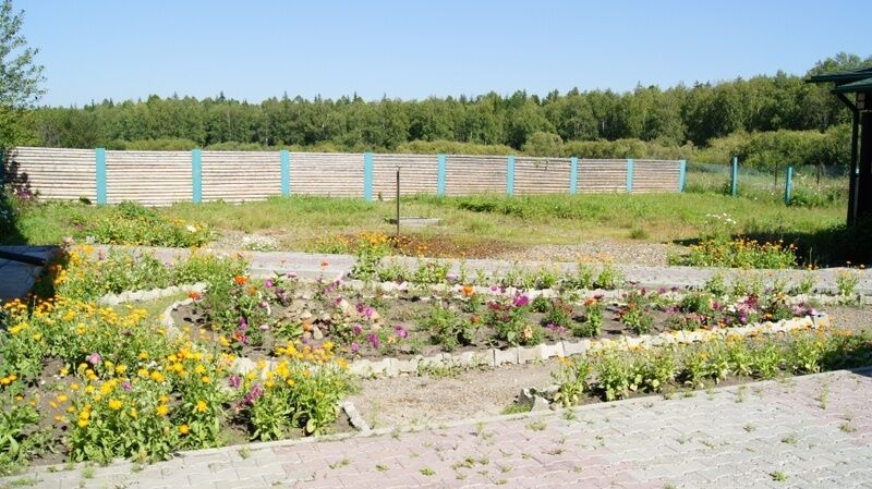 Двор | Лукоморье, Томская область