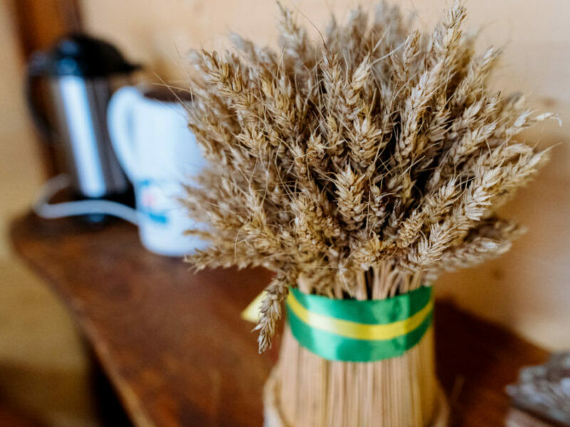 Делюкс 3-местный Изба