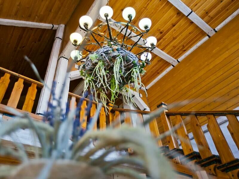 Холл | Медвежий угол, Владимирская область