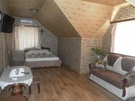 Номер люкс, База отдыха Чистые пруды, Рождественская