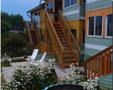 Наша Фазенда, Приморский край: фото 2