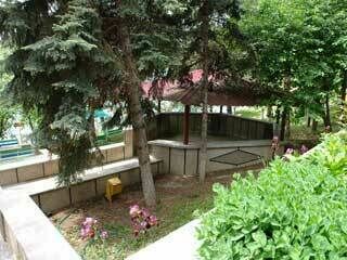 Мечта, Ставропольский край: фото 4