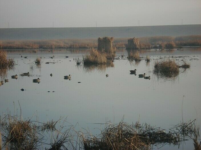 Манц, Ставропольский край: фото 3