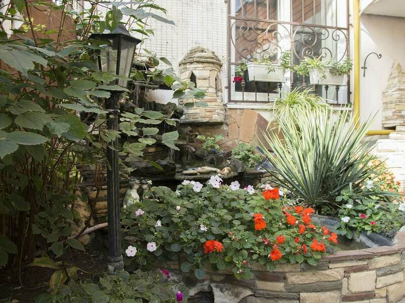 Территория | Елена, Краснодарский край