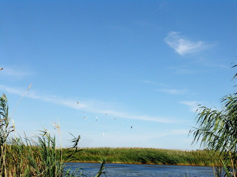 Окрестности | Астраханское охотхозяйство Лиманский участок, Астраханская область