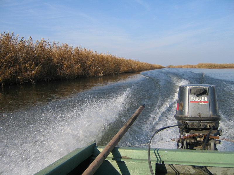 Окрестности | Астраханское охотхозяйство Лиманский участок, Астраханская область