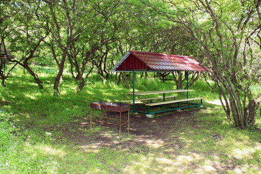 Пелагиада, Ставропольский край: фото 5