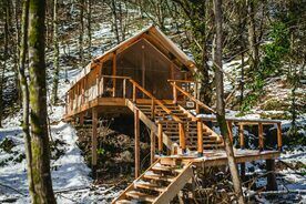 Lux 2-местный Люкс+, Глэмпинг и СПА Лес, Сочи