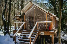 Suite 2-местный, 2-комнатный, Глэмпинг и СПА Лес, Сочи