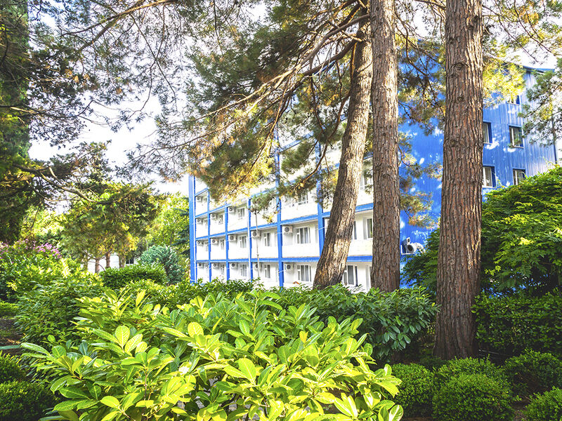 Парк-отель Небуг, Краснодарский край, Небуг Туапсе Туапсинский район