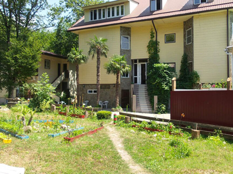 Гостиница Платан, Краснодарский край, Сочи 