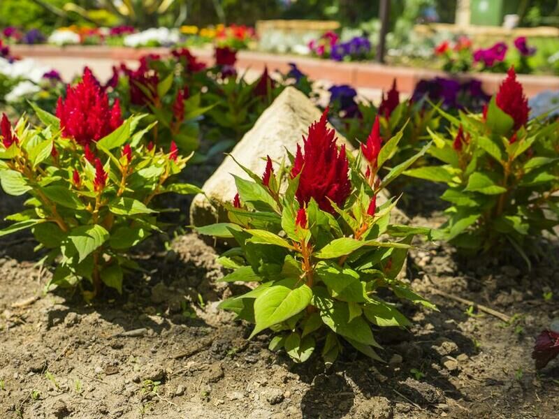 Территория | Штиль, Краснодарский край