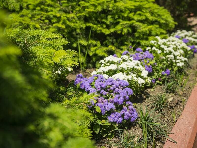 Территория | Штиль, Краснодарский край