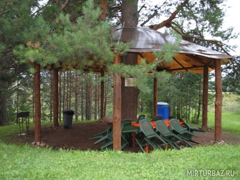 Беседка под сосной