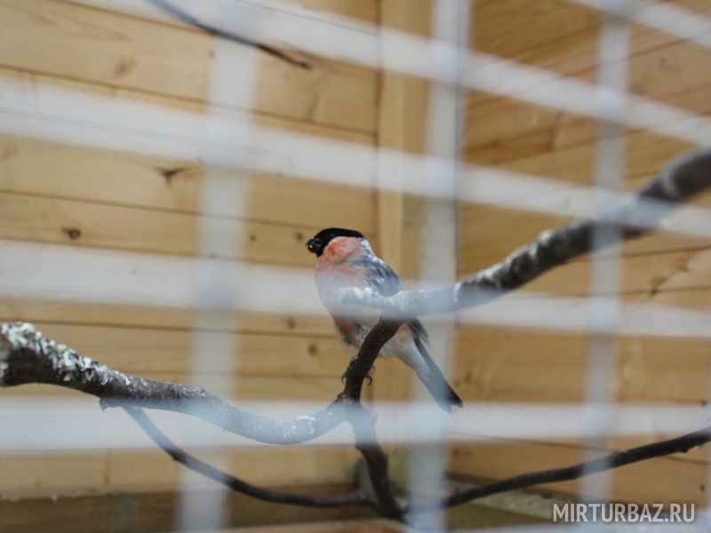 Территория