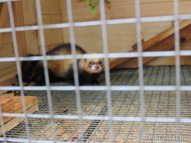 Территория