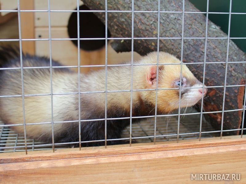 Территория