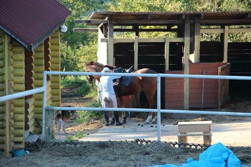 Береговая, Приморский край: фото 3