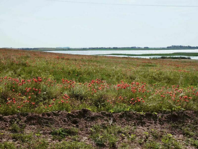Природа | Зазеркалье, Астраханская область