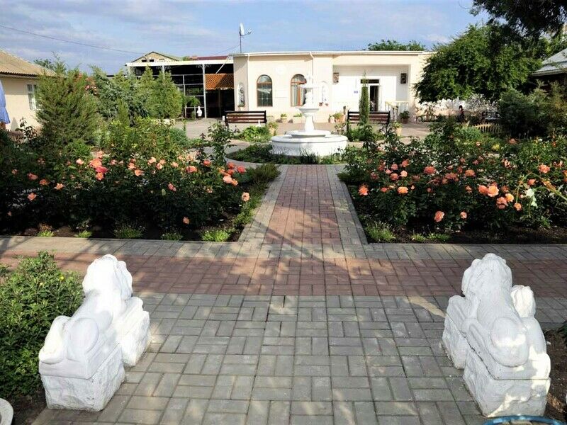 Внешний вид | Альтернатива, Крым