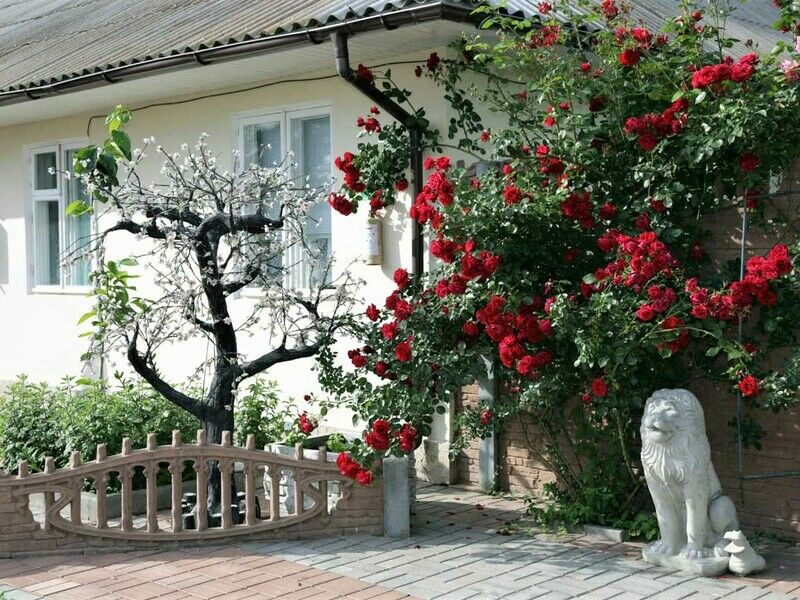 Территория | Альтернатива, Крым