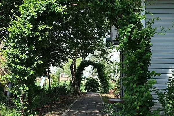 Территория | Коронелли, Крым