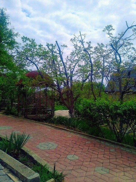 1000 Звезд , Крым: фото 5