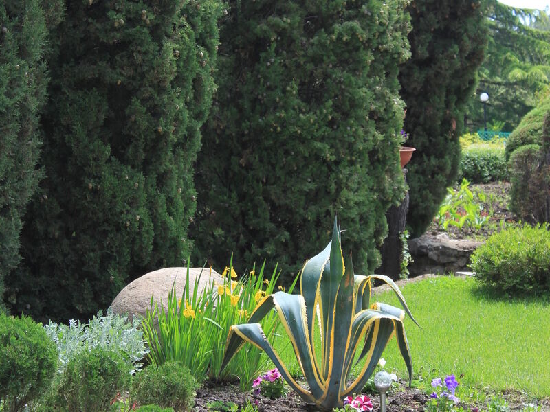 Территория | Зенит, Крым