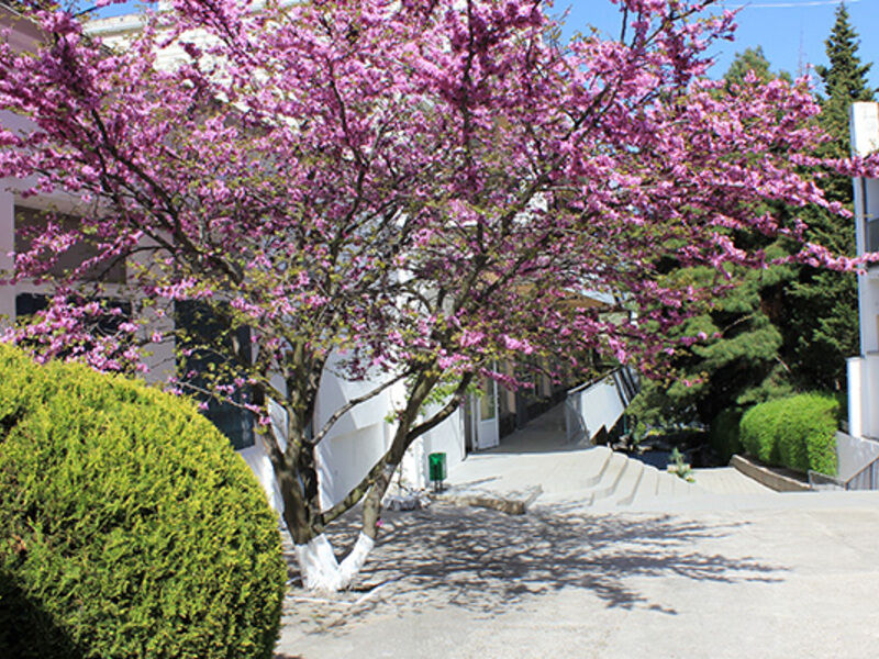 Территория | Зенит, Крым