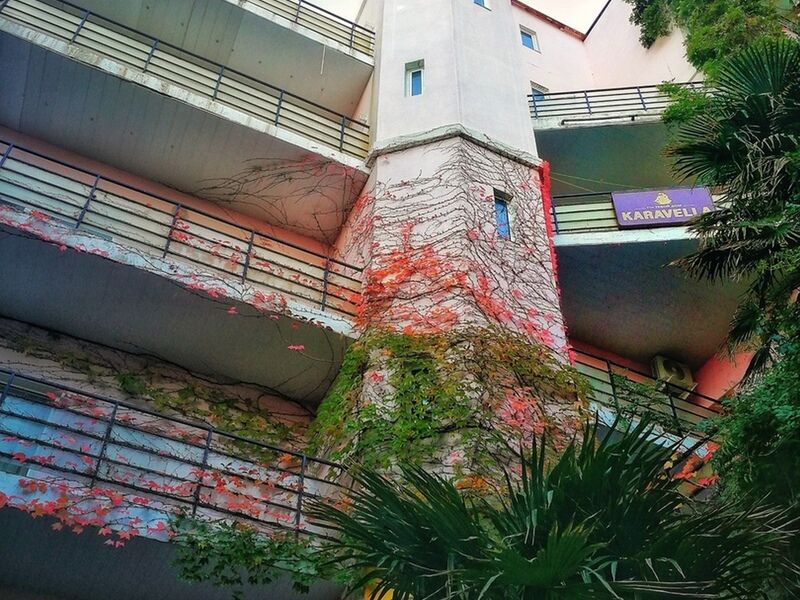 Гостиница Утес, Крым, Алушта Алушта Партенит Гурзуф Малореченское Массандра