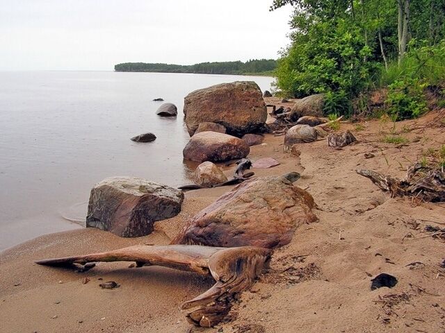 На берегу | Верхняя Рыбинка, Вологодская область