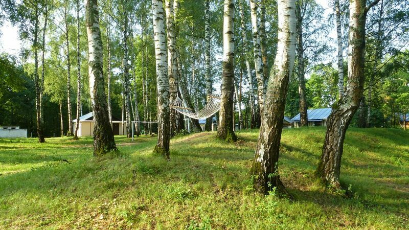 Территория | Красный Курган, Нижегородская область