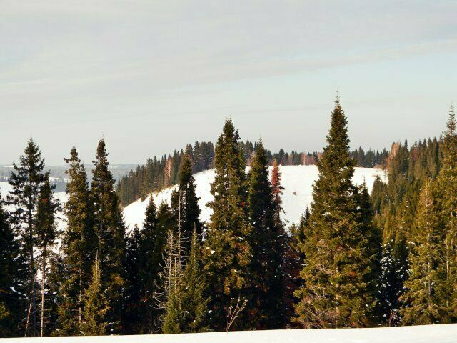 База отдыха Калинино, Пермский край, Кунгурский район Калинино