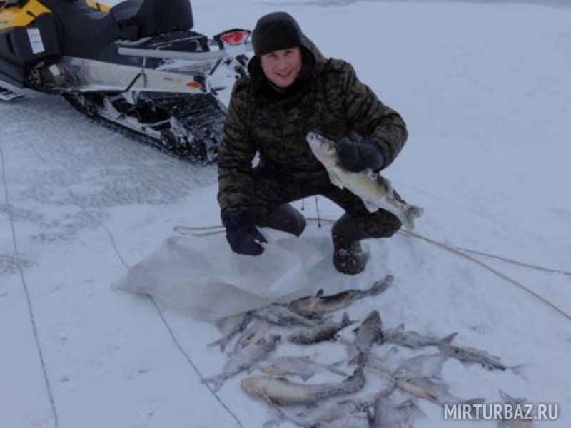 "Скромный" улов