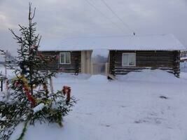 Большой эконом-дом, База отдыха Обва, село Кривец