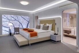 Люкс 2-местный DBL, Дизайн-отель СтандАрт, Москва