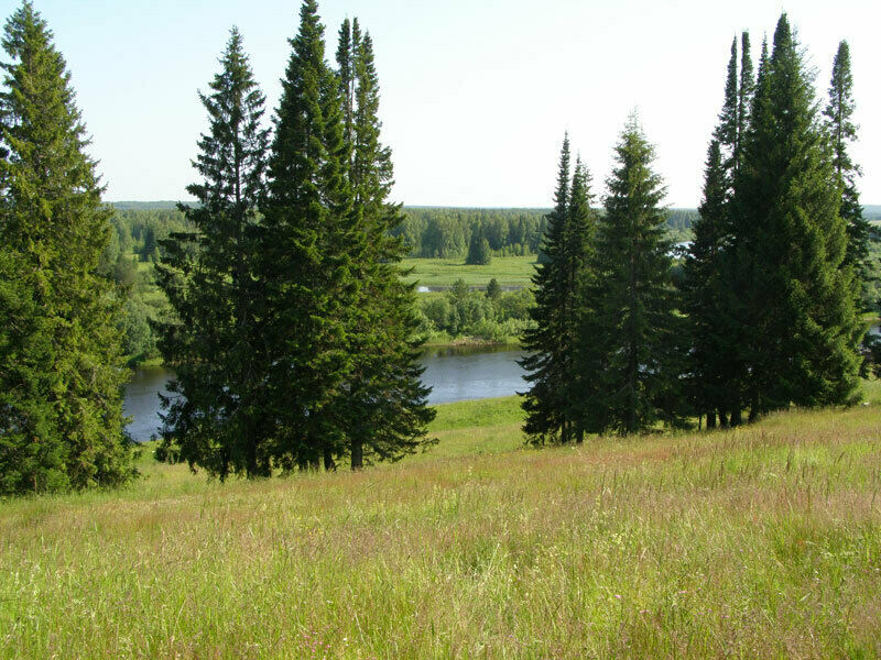 База отдыха «Боярская усадьба» | Боярская усадьба, Республика Коми