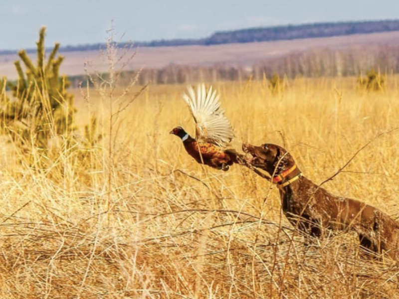  Relax, Астраханская область: фото 5