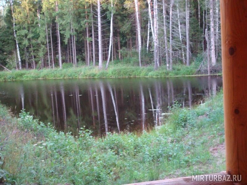 Вид из окна